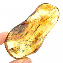 Choice amber from Lithuania 25.6g
