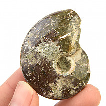 Ammonite whole with opal luster (31g)