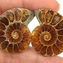 Ammonite two halves 18 g