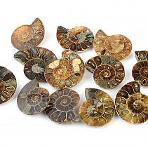 Ammonite halved pack (12 pcs) 98 g