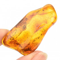 Selected amber 5.4 g Lithuania