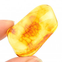 Amber 5.3 g Lithuania