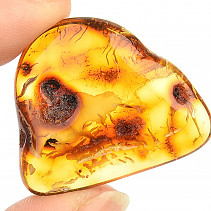 Selected amber 3.7 g Lithuania