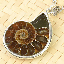 Ammonite pendant with handle Ag 925/1000 4.92 g