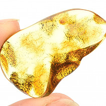 Collectable amber 3.6 g Lithuania