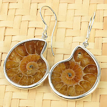 Ammonite earrings light Ag 925/1000 6.6g