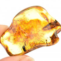 Selected amber 4.3 g Lithuania