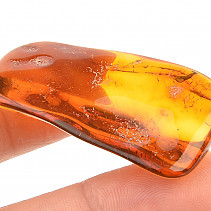 Amber for collectors 5.3 g Lithuania