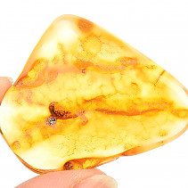 Collectable amber 5.3 g Lithuania