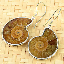 Ammonite earrings light Ag 925/1000 9.5g