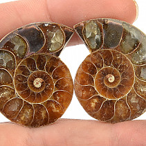 Ammonite halved 16 g
