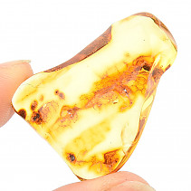 Selected amber 4.6 g Lithuania