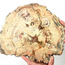 Zkamenělé dřevo plátek 2432g (Madagaskar)
