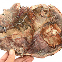 Zkamenělé dřevo plátek 1151g (Madagaskar)