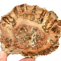 Petrified wood slice 286g (Madagascar)