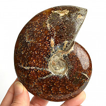 Choice ammonite whole with opal luster 310g