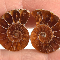 Ammonite selection pair 4.9g