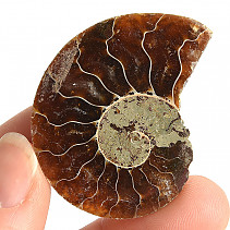 Ammonite collection half 9.2g
