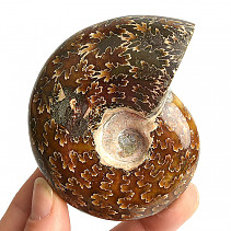 Choice ammonite whole with opal luster 194g