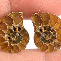 Ammonite selection pair 3.2g