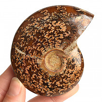Selected ammonite 134g in total