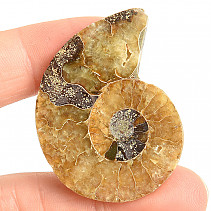 Ammonite for collectors half 10.8g