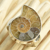 Ammonite ring size 54 Ag 925/1000 8.3g