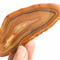 Agate slice with a Brazil core 39g