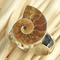 Ammonite ring size 56 Ag 925/1000 7g