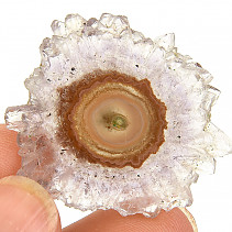 Amethyst rose slice (from Uruguay) 9g