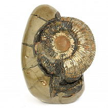 Septaria with ammonite decorative stone Madagascar 6574g