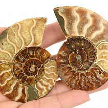 Ammonite pair 68g