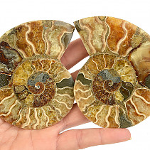 Ammonite pair 160g