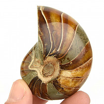 Ammonite whole from Madagascar 104g