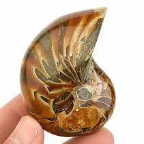 Ammonite whole from Madagascar 116g