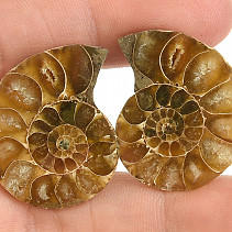 Ammonite pair from Madagascar 13g