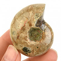 Amonit vcelku s opálovým leskem z Madagaskaru 60g
