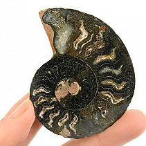 Ammonite half from Madagascar 35g