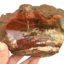 Petrified wood bowl (Madagascar) 853g