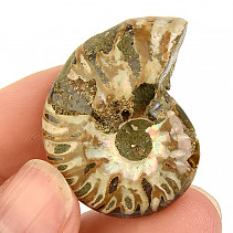 Ammonite whole with opal luster from Madagascar 16g