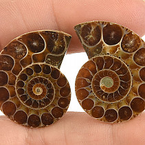 Ammonite pair from Madagascar 9g