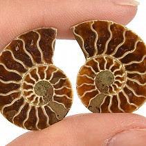 Ammonite pair 4g (Madagascar)