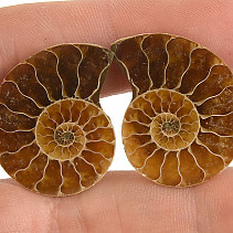 Ammonite pair from Madagascar 6g