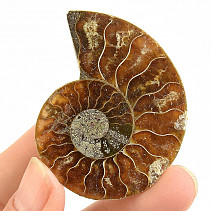 Ammonite half with opal shine Madagascar 20g