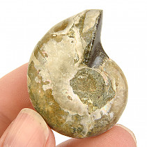 Amonit vcelku s opálovým leskem z Madagaskaru 21g