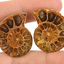 Ammonite pair from Madagascar 11g
