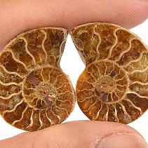 Ammonite pair from Madagascar 7g