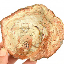 Zkamenělé dřevo plátek z Madagaskaru 287g