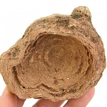 Zkamenělý stromatolit Maroko 344g