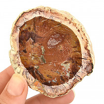 Zkamenělé dřevo plátek 96g z Madagaskaru